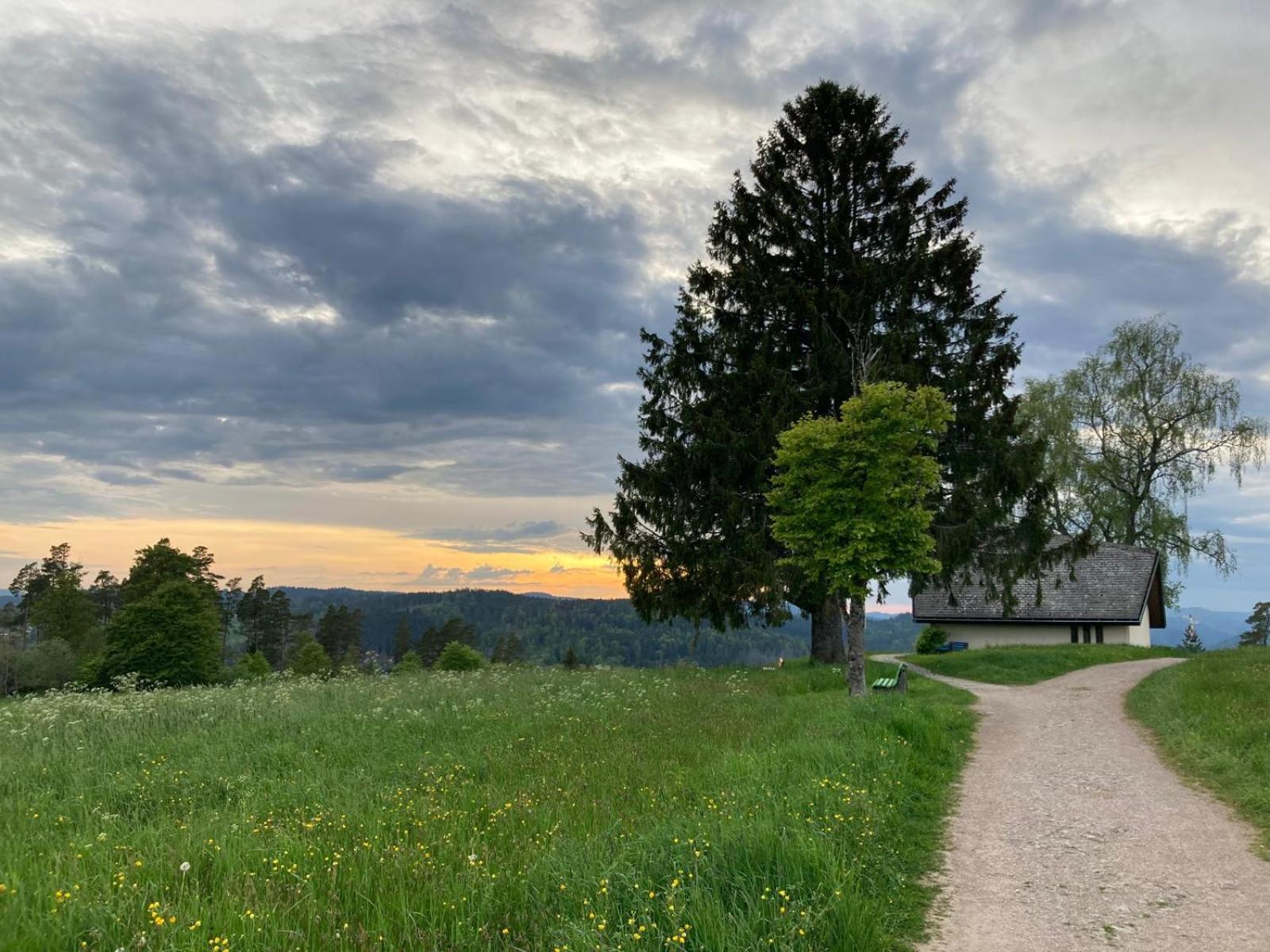 Haus Hanni Hoechenschwand Bagian luar foto